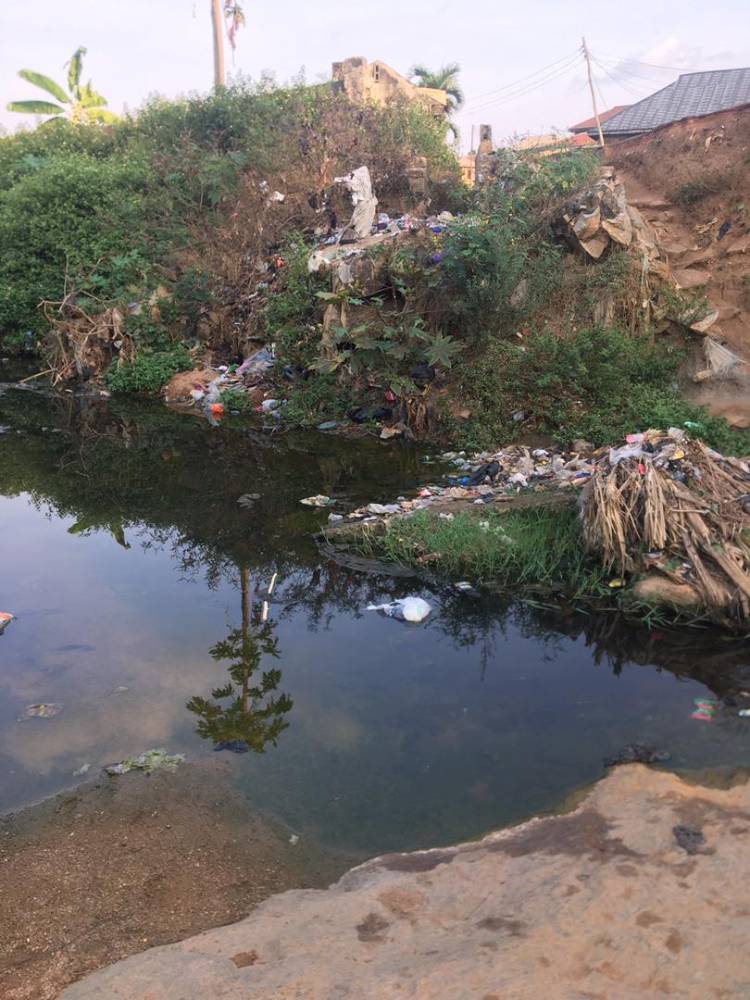 From Waste to Water: A Community Stream Restoration Driving Child Health and Sustainable Development - Image 4