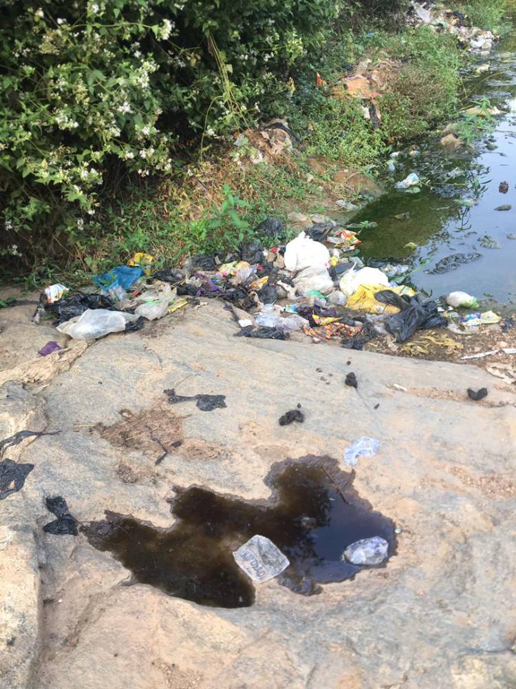 From Waste to Water: A Community Stream Restoration Driving Child Health and Sustainable Development - Image 3